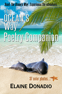 The Ocean's Way Poetry Companion thumbnail